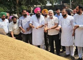 Bhagwant Mann Govt Prepared for Smooth Paddy Procurement, 3.44 Lakh MT Procured So Far: Kataruchak Kataruchak on paddy against