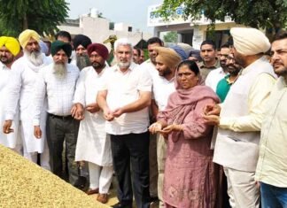Punjab Minister Kataruchak Reviews Paddy Procurement in Jagraon, Says 7.50 Lakh MT Crop Procured So Far Kataruchak reviews paddy procurement