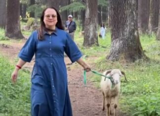 Mandakini Misses Manali’s Snow-Covered Mountains, Shares Heartfelt Note on Love for Nature