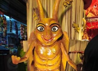 From Skyscrapers to Cockroach-Themed Displays, Bihar’s Durga Puja Pandals Draw Crowds