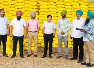 Agriculture Department Seizes 4,000 Bags of Subsidised Urea in Amritsar Factory Raid; Two Arrested Punjab Agriculture Department seizes bags of subsidised urea