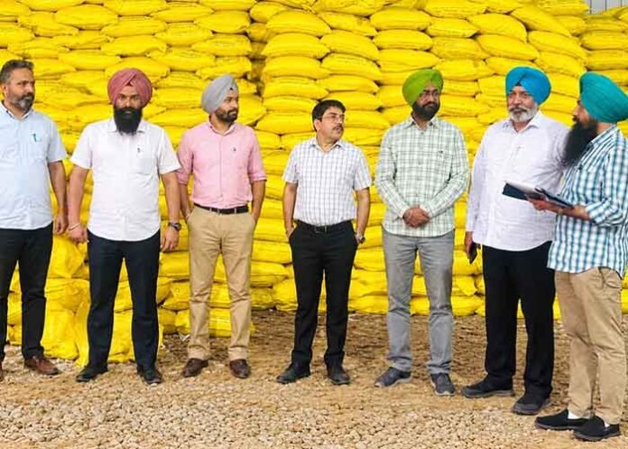 Punjab Agriculture Department seizes bags of subsidised urea