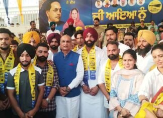 Punjab Govt Promotes Rural Sports to Engage Youth, Build Drug-Free Generation Punjab Govt promotes rural sports