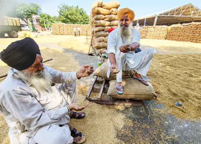 Punjab farmers can call the Sanjha Mittar helpline