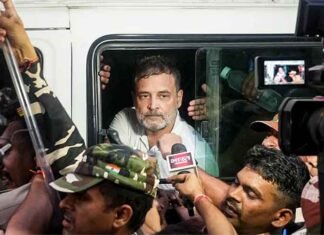 Rahul Gandhi, Priyanka Gandhi Among INDIA Bloc Leaders Detained on Way to Jantar Mantar Rahul Gandhi Detained