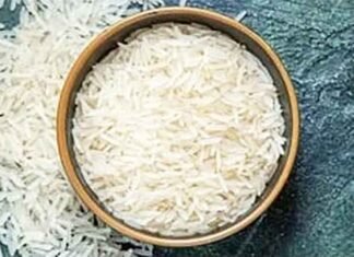 India Accounts for 40% of Global Rice Exports, Plays Key Role in World Food Security: Experts Rice Price