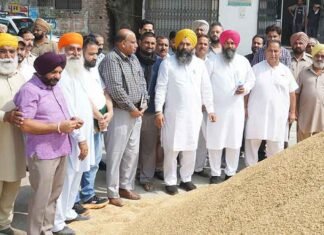 Punjab Govt Committed to Buying Every Grain of Farmers’ Paddy: Deputy Speaker Jai Krishan Rouri Rouri reviews paddy procurement in Garhshankar markets