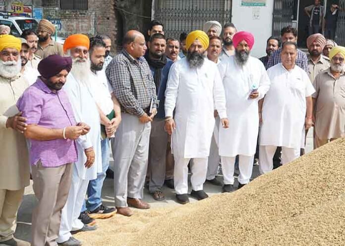 Rouri reviews paddy procurement in Garhshankar markets