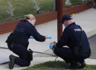 Two Pedestrians Killed After SUV Hits Them in Australia’s New South Wales