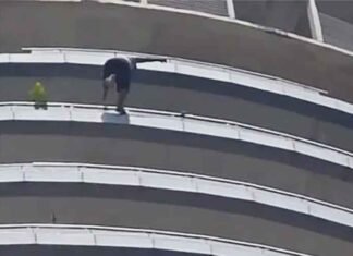 Noida: Youth Dies After Falling from 43rd Floor of Supernova Building, Police Launch Probe Youth jumps to death from 43rd floor of Supernova building Noida